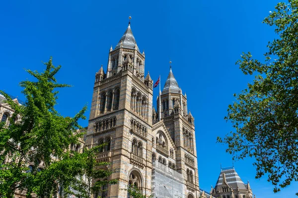 Naturhistorisches Museum London Großbritannien — Stockfoto