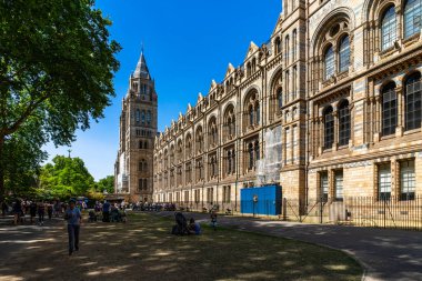 İngiltere, Londra 'daki Doğal Tarih Müzesi.