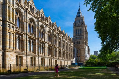 İngiltere, Londra 'daki Doğal Tarih Müzesi.
