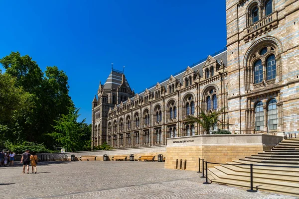 Naturhistorisches Museum London Großbritannien — Stockfoto