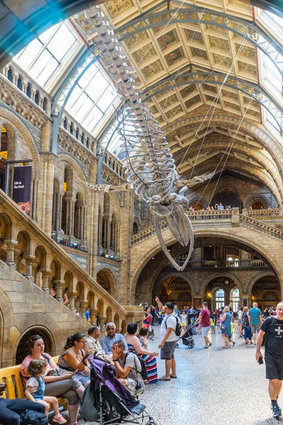 Natural History Museum Londres Royaume Uni — Photo