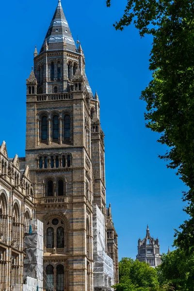 Natural History Museum Londres Royaume Uni — Photo