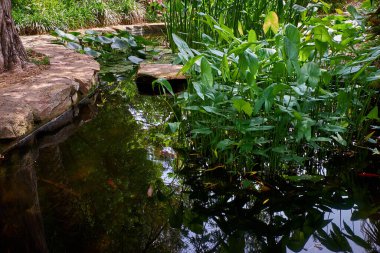 Blanes, Katalonya 'daki Marimurtra Botanik Bahçesi.