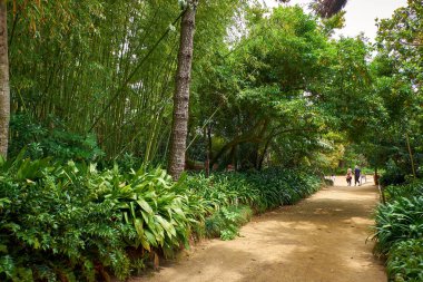 Blanes, Katalonya 'daki Marimurtra Botanik Bahçesi.