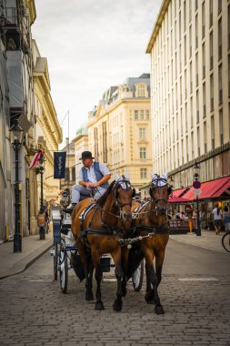 Avusturya, Viyana 'da ünlü bir at arabası.