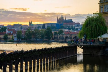 Çek Cumhuriyeti 'ndeki Moldava nehir teknesi Prag' ın manzara manzarası