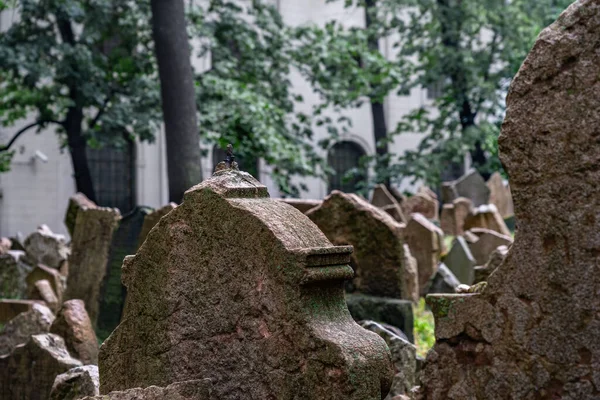 Starý Židovský Hřbitov Praha České Republice — Stock fotografie