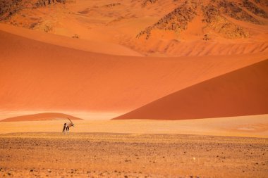 Namib Çölü Sossusvlei Tuz Gölü
