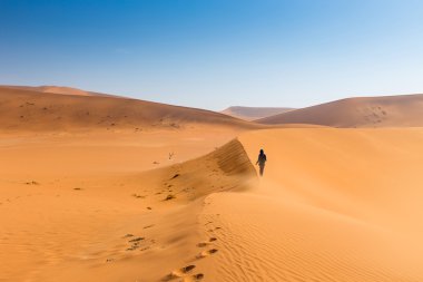 namib desert, sossusvlei