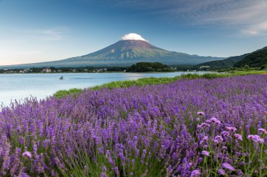 Japonya 'daki Fuji Dağı
