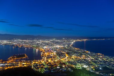 Hakodate şehir gece panorama