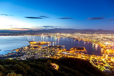 Hakodate şehir gece panorama