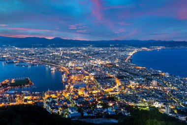 Hakodate şehir gece panorama