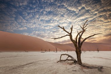 Namib Çölü Sossusvlei Tuz Gölü