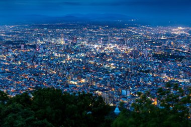 Cityscape Sapporo Hokkaido, Japonya