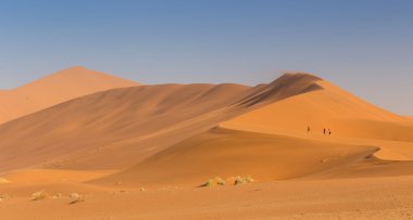 Namib Çölü Sossusvlei Tuz Gölü