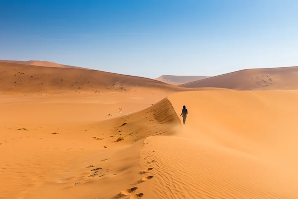 Namib wüste, sossusvlei — Stockfoto