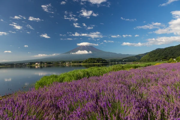 Fuji de montanha no japão — Fotografia de Stock