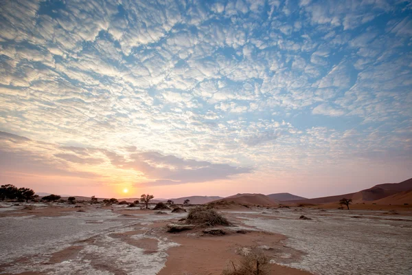 Namib Wüste sossusvlei Salzsee — Stockfoto
