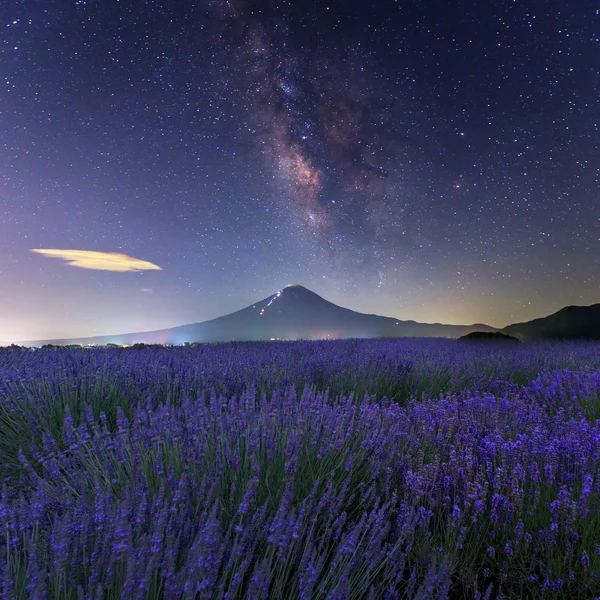 Mountain Fuji in Japan — Stock Photo, Image