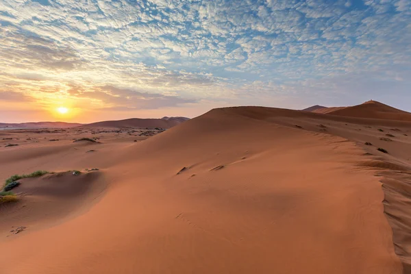 Namibwoestijn Sossusvlei zoutmeer — Stockfoto