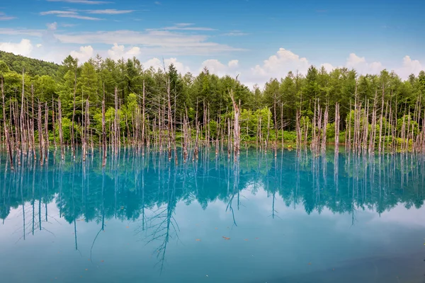 Blue pond on Hokkaido island, Japan — Stock Photo, Image