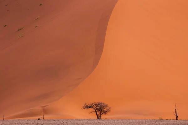 Namibská poušť Sossusvlei Slané jezero — Stock fotografie