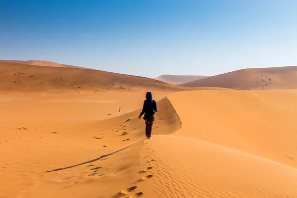 Deserto de namib, sossusvlei — Fotografia de Stock