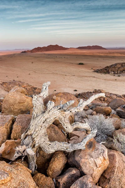 Rochas do deserto de Namíbia, Namíbia — Fotografia de Stock