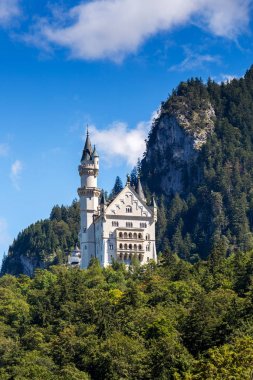 Neuschwanstein Şatosu manzarasına güzel yaz