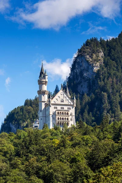 Schöner Sommerblick Auf Das Schloss Neuschwanstein — Stockfoto