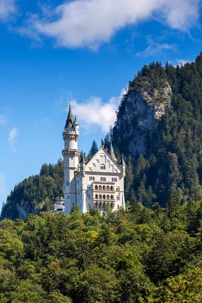 Vacker Sommar Över Slottet Neuschwanstein — Stockfoto