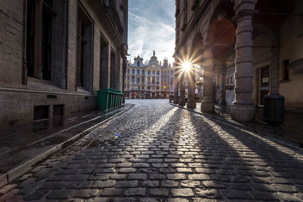 Брюссельский столичный регион является регионом Бельгии
