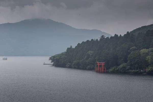 夏のシーズンで日本の森林 — ストック写真