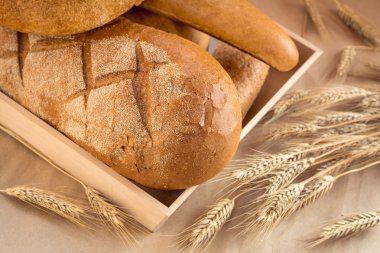 Ahşap tepsi üzerinde çeşitli ekmek ve buğday demeti