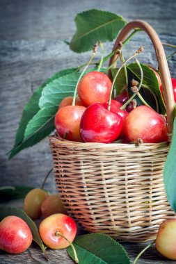 Hasır sepette taze kirazlar