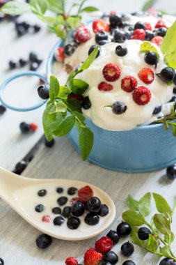 Taze böğürtlenli vanilyalı dondurma