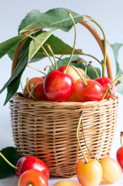 Beyaz izole bir hasır sepet içinde Olgun Kiraz