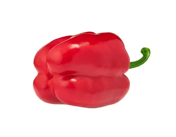 Rode paprika 's geïsoleerd op witte achtergrond. — Stockfoto