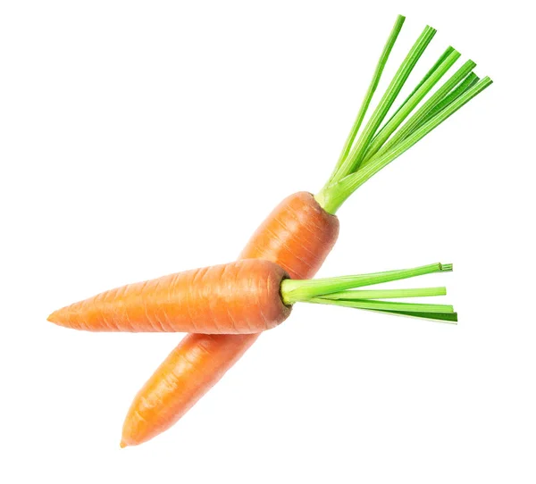 Two carrots isolated on white background. Top view. Full depth of field. — 스톡 사진