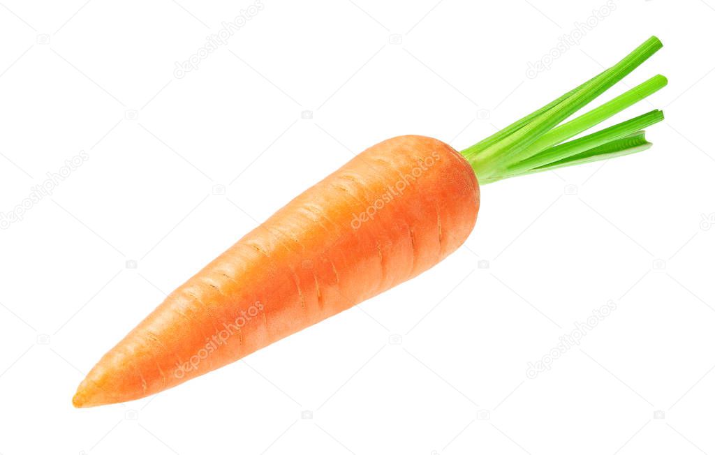 Fresh carrot isolated on white background.Close-up of carrot