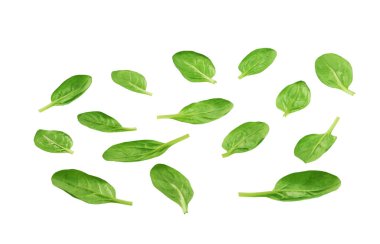 taze yeşil beyaz bir arka plan üzerinde izole ıspanak yaprakları.