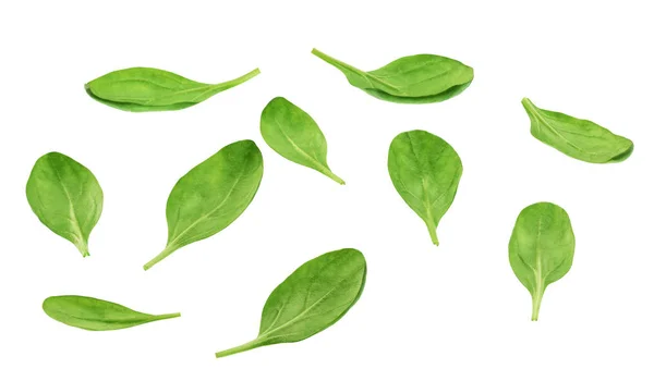 Fresh green leaves spinach  isolated on a white background. — Stock Photo, Image