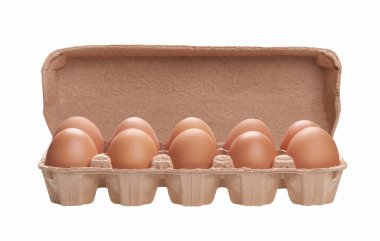 Açık bir karton kutuda çiğ tavuk yumurtası.