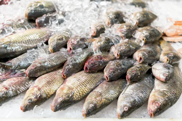 Pesce fresco di fiume grande nel ghiaccio nella vetrina del negozio . — Foto Stock