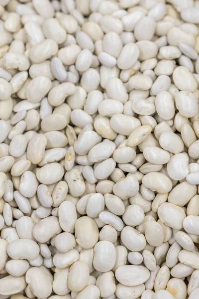 White beans. background. Beans
