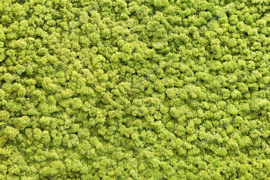 Artificial green moss wall for garden decor. Moss Background Texture