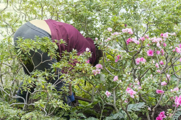 Bahçede çalışan orta yaşlı bir kadın