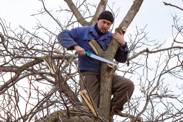 Un joven trepó a un árbol y vio la rama. — Foto de Stock