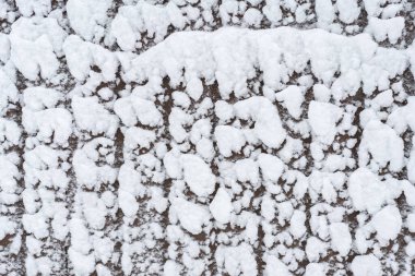 Çitlerde kar var. Kış doğal kar arka planı.